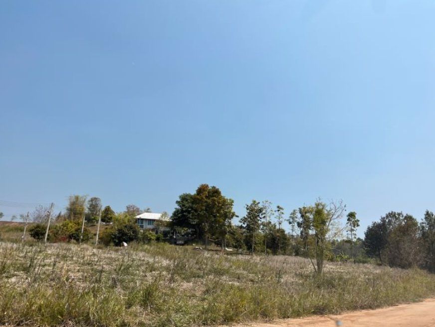 ขายที่ดิน-เนื้อที่รวม-6ไร่-1งาน63-ตรว