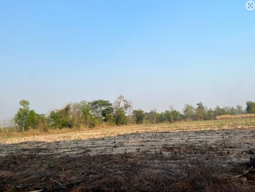 ขายที่ดิน-เนื้อที่รวม-6ไร่-1งาน63-ตรว