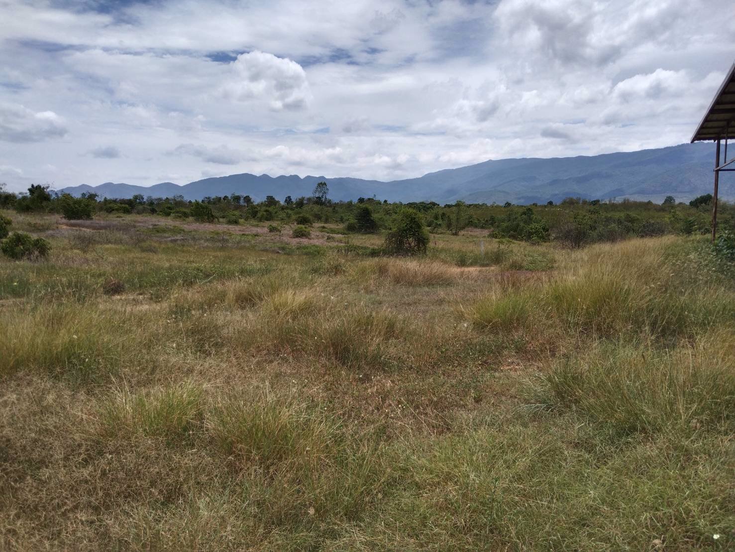 ขายที่ดินถนนเส้นจอมทองบ้านโฮ่ง-ทะลุเส้นลี้