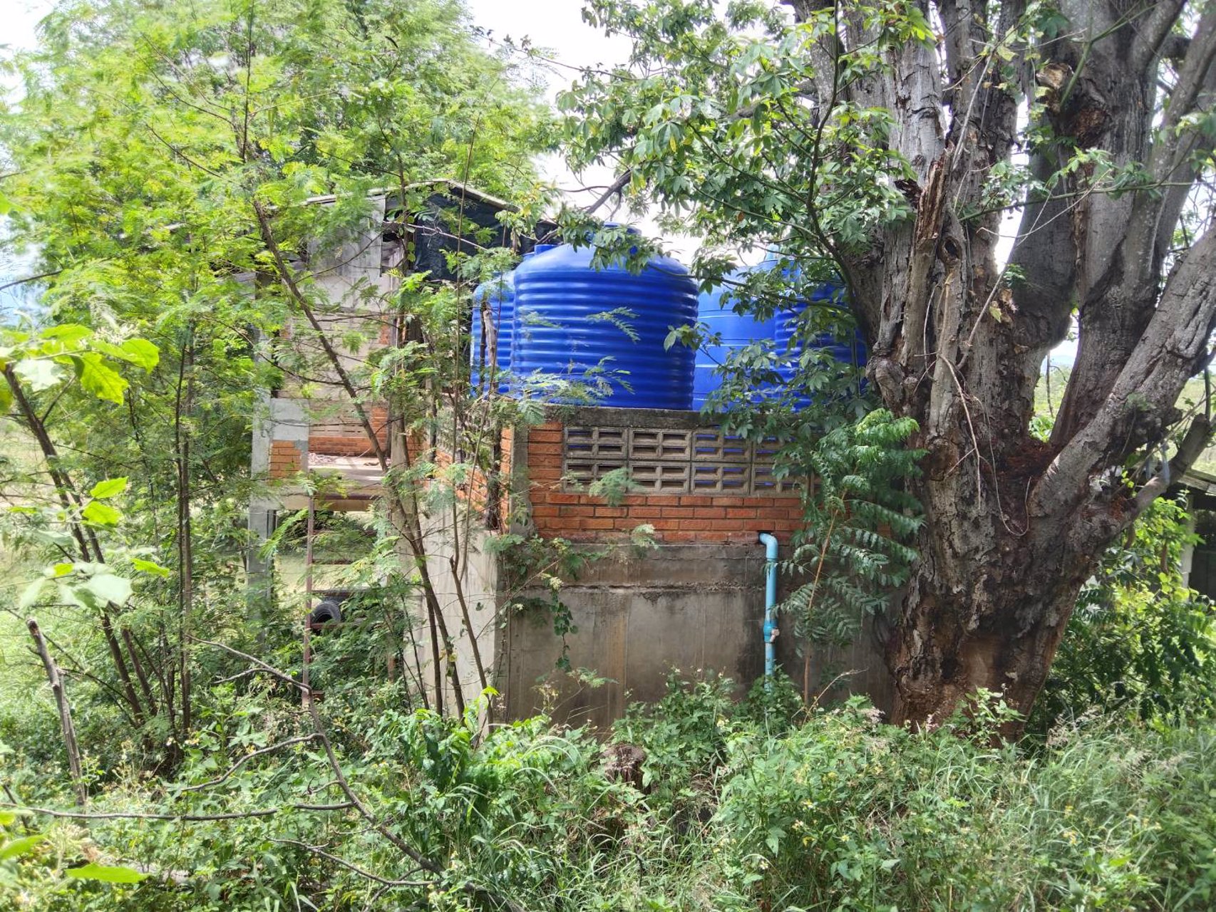 ขายที่ดินถนนเส้นจอมทองบ้านโฮ่ง-ทะลุเส้นลี้