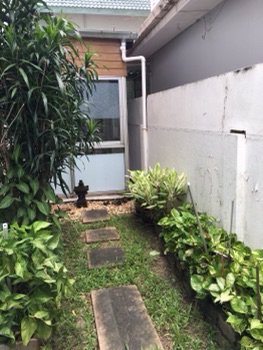 ขาย-บ้านเดี่ยว-หมู่บ้านภาณุ-ตลิ่งชัน-ขนาด-562-ตรว-พื้นที่-1685-ตรม