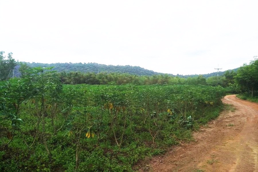 ขายที่ดิน-5-ไร่-ติดนิคมอุตสาหกรรม-หนองใหญ่-จชลบุรี