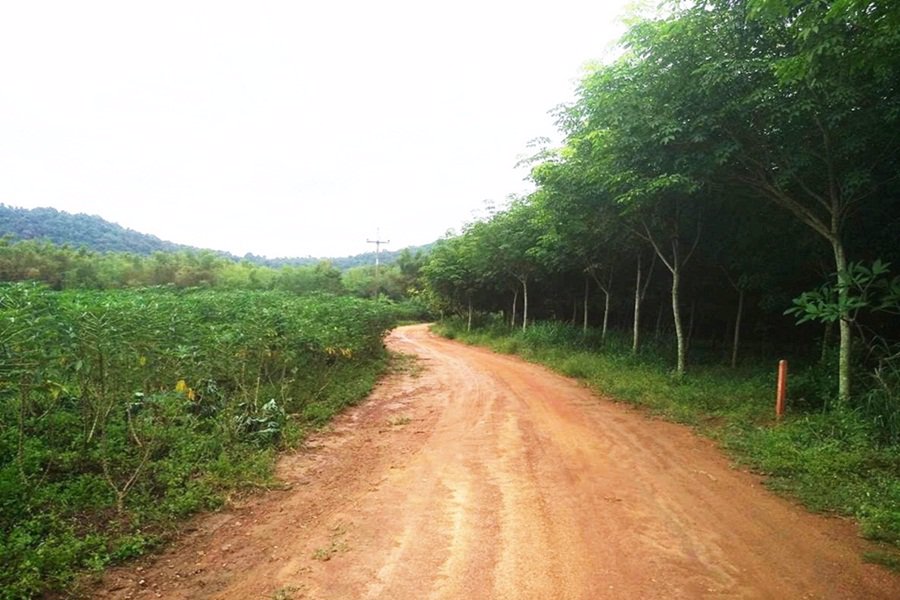 ขายที่ดิน-5-ไร่-ติดนิคมอุตสาหกรรม-หนองใหญ่-จชลบุรี