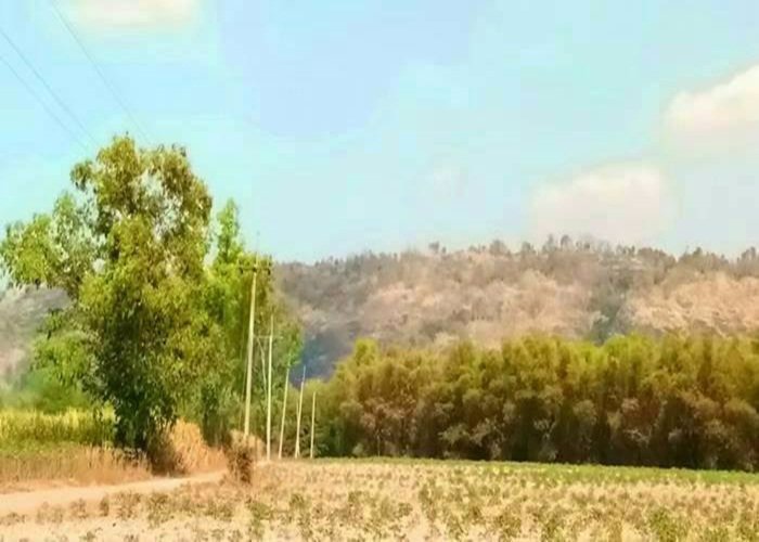 ขายที่ดิน-5-ไร่-ติดนิคมอุตสาหกรรม-หนองใหญ่-จชลบุรี