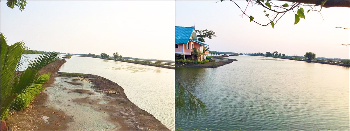 ขายบ้านไทยฟาร์ม-จามจุรีวิลล่า-เนื้อที่-30-ไร่-บางขุนเทียน