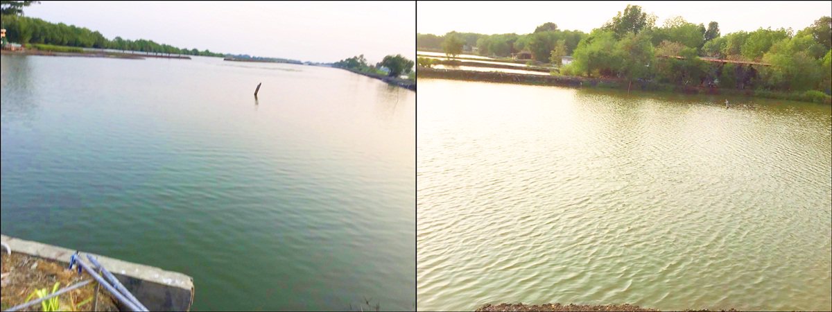 ขายบ้านไทยฟาร์ม-จามจุรีวิลล่า-เนื้อที่-30-ไร่-บางขุนเทียน