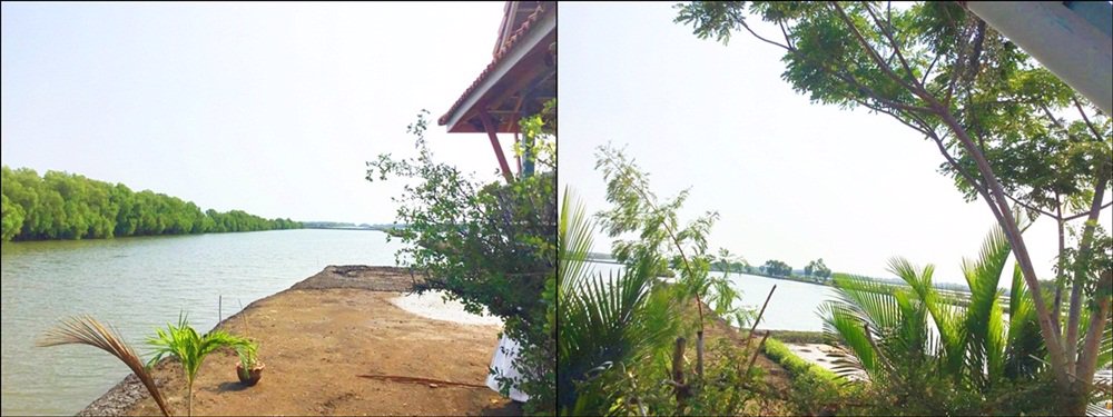 ขายบ้านไทยฟาร์ม-จามจุรีวิลล่า-เนื้อที่-30-ไร่-บางขุนเทียน