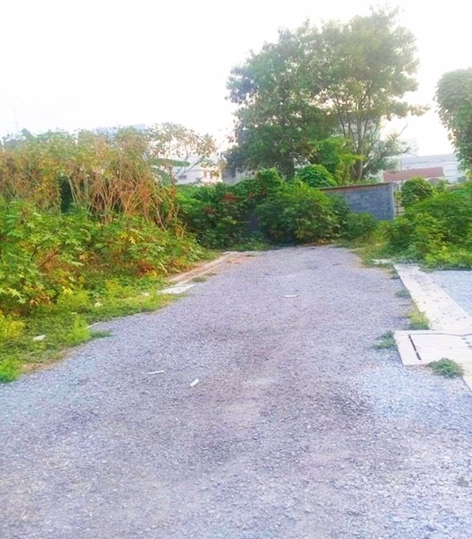 ขายที่ดินแปลงสวย-ที่ถมแล้ว-ซอยอธิยุทธ-พัฒนาการ-30