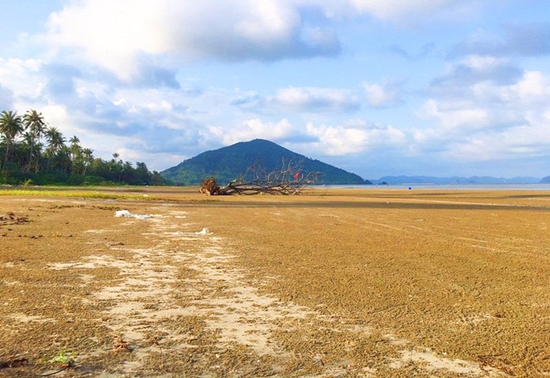 ขายที่ดินแปลงสวย-ติดทะเล-มีถนนผ่ากลาง-จ-ชุมพร