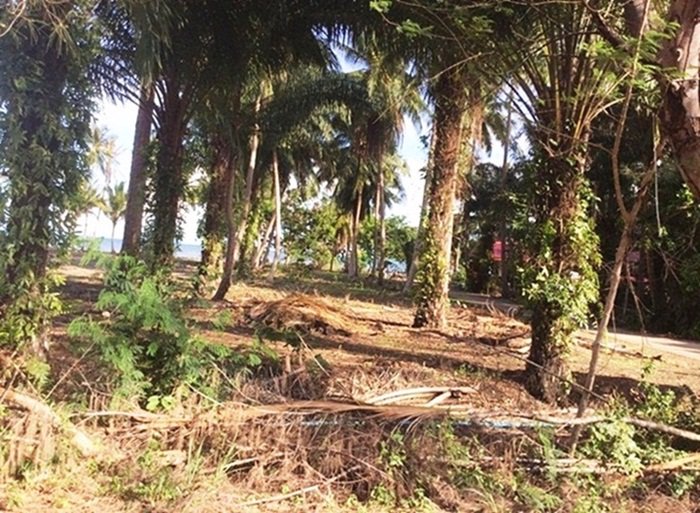 ขายที่ดินสวย-ติดทะเล-ติดถนน-อ-หลังสวน-จ-ชุมพร