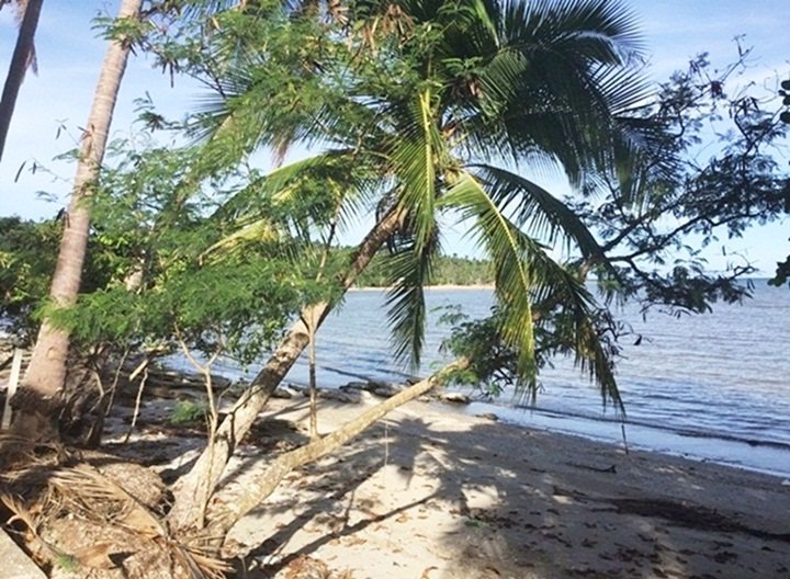 ขายที่ดินสวย-ติดทะเล-ติดถนน-อ-หลังสวน-จ-ชุมพร