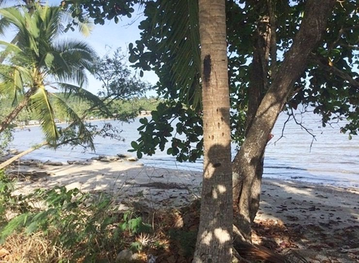 ขายที่ดินสวย-ติดทะเล-ติดถนน-อ-หลังสวน-จ-ชุมพร