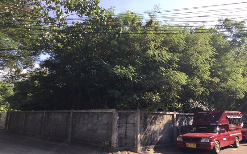 ขายที่ดิน-เนื้อที่-2-ไร่-ซอยอ่อนนุช-17-แยก-16-สวนหลวง-กรุงเทพมหานคร