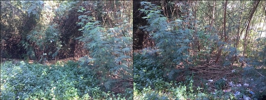 ขายที่ดิน-เนื้อที่-2-ไร่-ซอยอ่อนนุช-17-แยก-16-สวนหลวง-กรุงเทพมหานคร