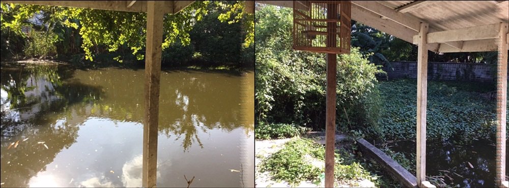 ขายที่ดิน-4-ไร่-ซอ่อนนุช17-แยก-16-สวนหลวง-กรุงเทพมหานคร