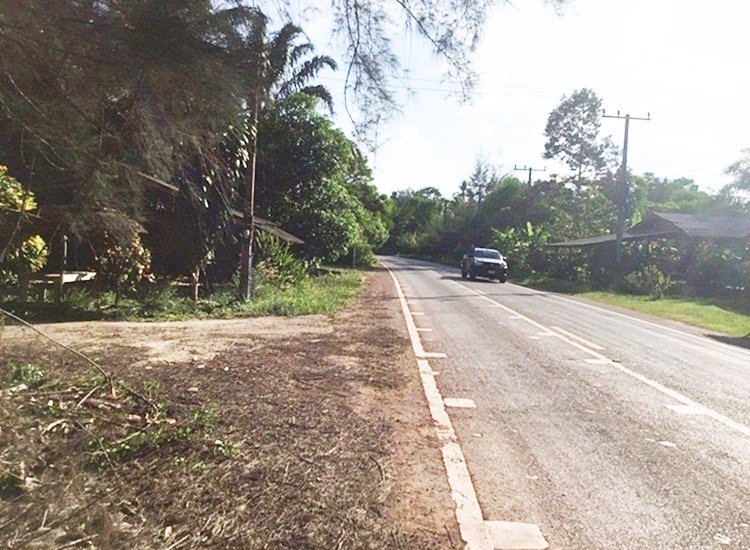 ขายที่ดินติดทะเล-ติดถนน-อ-หลังสวน-จ-ชุมพร