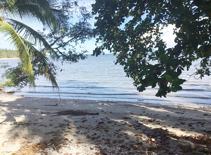 ขายที่ดินติดทะเล-ติดถนน-อ-หลังสวน-จ-ชุมพร