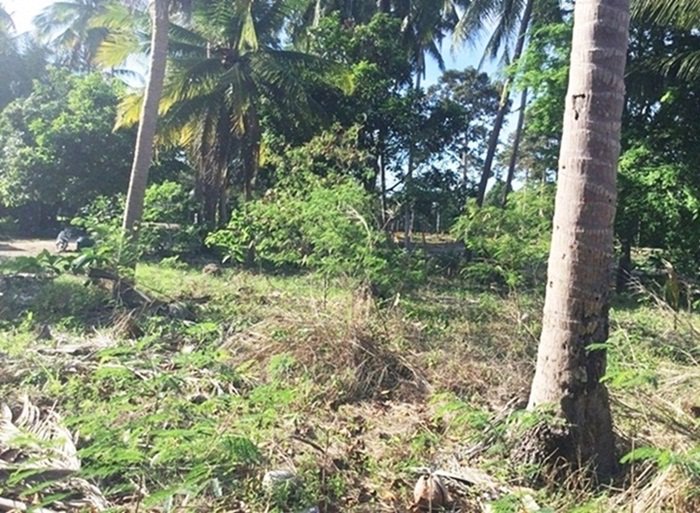 ขายที่ดินติดทะเล-ติดถนน-อ-หลังสวน-จ-ชุมพร