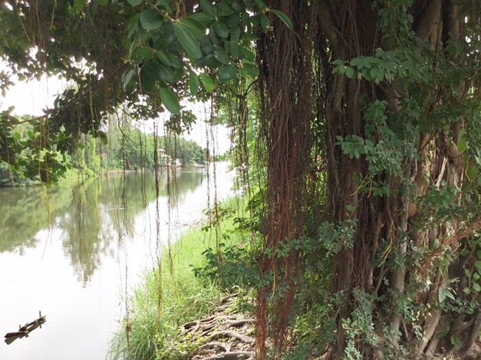 ขายที่ดินแปลงสวย-1-ไร่-พัฒนาการ-69-แยก-11