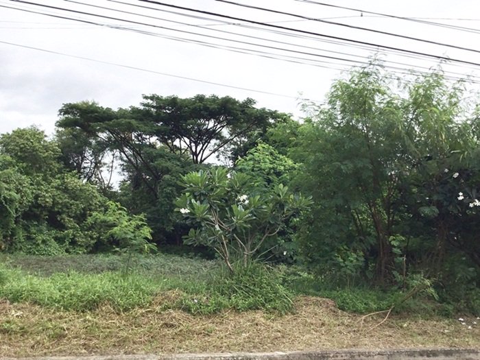 ขายที่ดินแปลงสวย-1-ไร่-พัฒนาการ-69-แยก-11