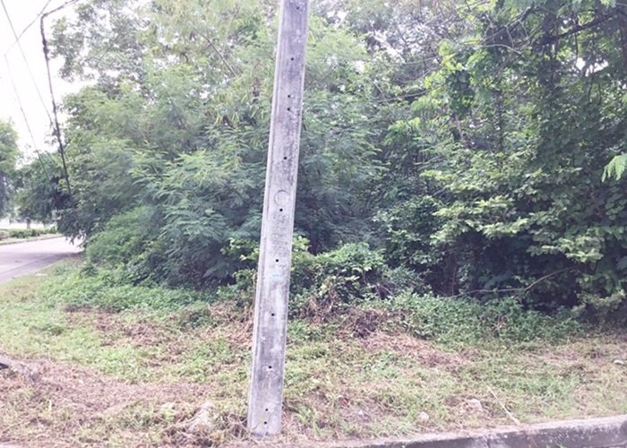 ขายที่ดินแปลงสวย-1-ไร่-พัฒนาการ-69-แยก-11