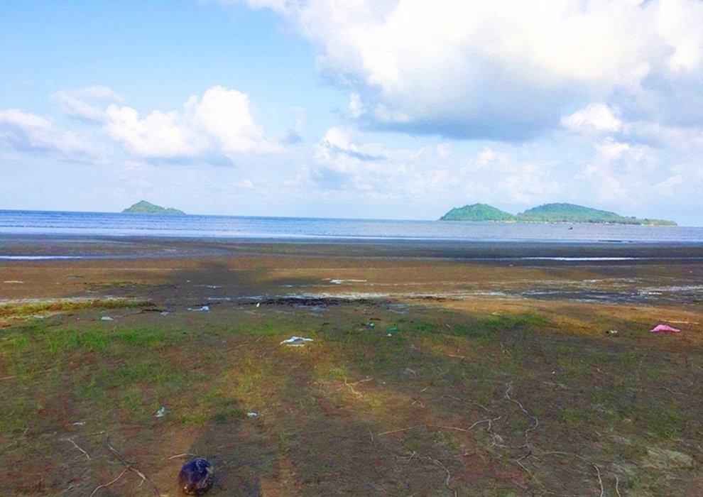 ขายที่ดินติดทะเล-มีถนนผ่ากลาง-หลังสวน-จ-ชุมพร