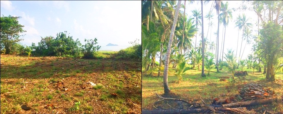 ขายที่ดินติดทะเล-มีถนนผ่ากลาง-หลังสวน-จ-ชุมพร