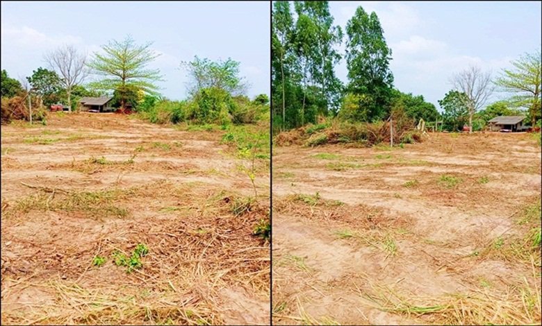 ขายที่ดิน-เนื้อที่-2-ไร่-เกาะจันทร์-ชลบุรี