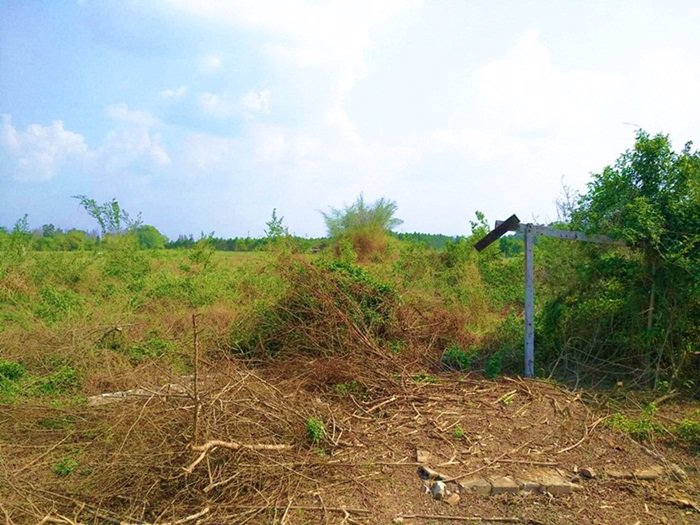 ขายที่ดิน-เนื้อที่-2-ไร่-เกาะจันทร์-ชลบุรี