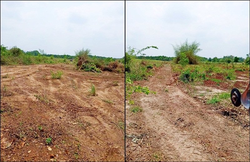 ขายที่ดิน-เนื้อที่-2-ไร่-เกาะจันทร์-ชลบุรี