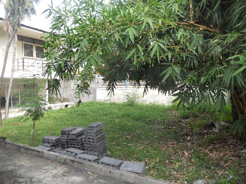 ทำเลดีมากๆขั้นเทพ-ขายที่ดินสร้างบ้านใหม่ใกล้เดอะมอลล์บางกะปิ-ใกล้มรามคำแหง-รถไฟฟ้าผ่าน-2-สายหน้า