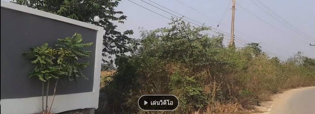 ให้เช่าที่ดิน-ใกล้นิคมเกตเวย์-ติดโรงงาน-ยูพีพี-อัลทิเมทแพคกิ้งและบริษัท-focus-wheig-bangnalimited