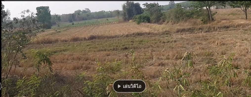 ให้เช่าที่ดิน-ใกล้นิคมเกตเวย์-ติดโรงงาน-ยูพีพี-อัลทิเมทแพคกิ้งและบริษัท-focus-wheig-bangnalimited