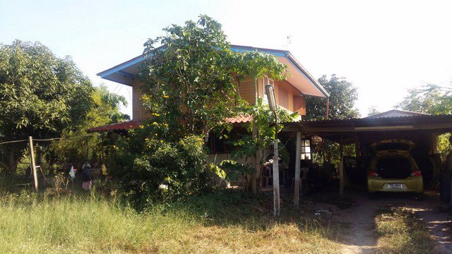 ขายบ้านครึ่งปูนครึ่งไม้-2-งาน-70-ตรวา-ใกล้ตลาดลาดบัวหลวง-บรรยากาศดี-ร่มรื่น