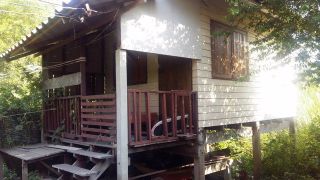 ขายบ้านครึ่งปูนครึ่งไม้-2-งาน-70-ตรวา-ใกล้ตลาดลาดบัวหลวง-บรรยากาศดี-ร่มรื่น