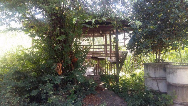 ขายบ้านครึ่งปูนครึ่งไม้-2-งาน-70-ตรวา-ใกล้ตลาดลาดบัวหลวง-บรรยากาศดี-ร่มรื่น