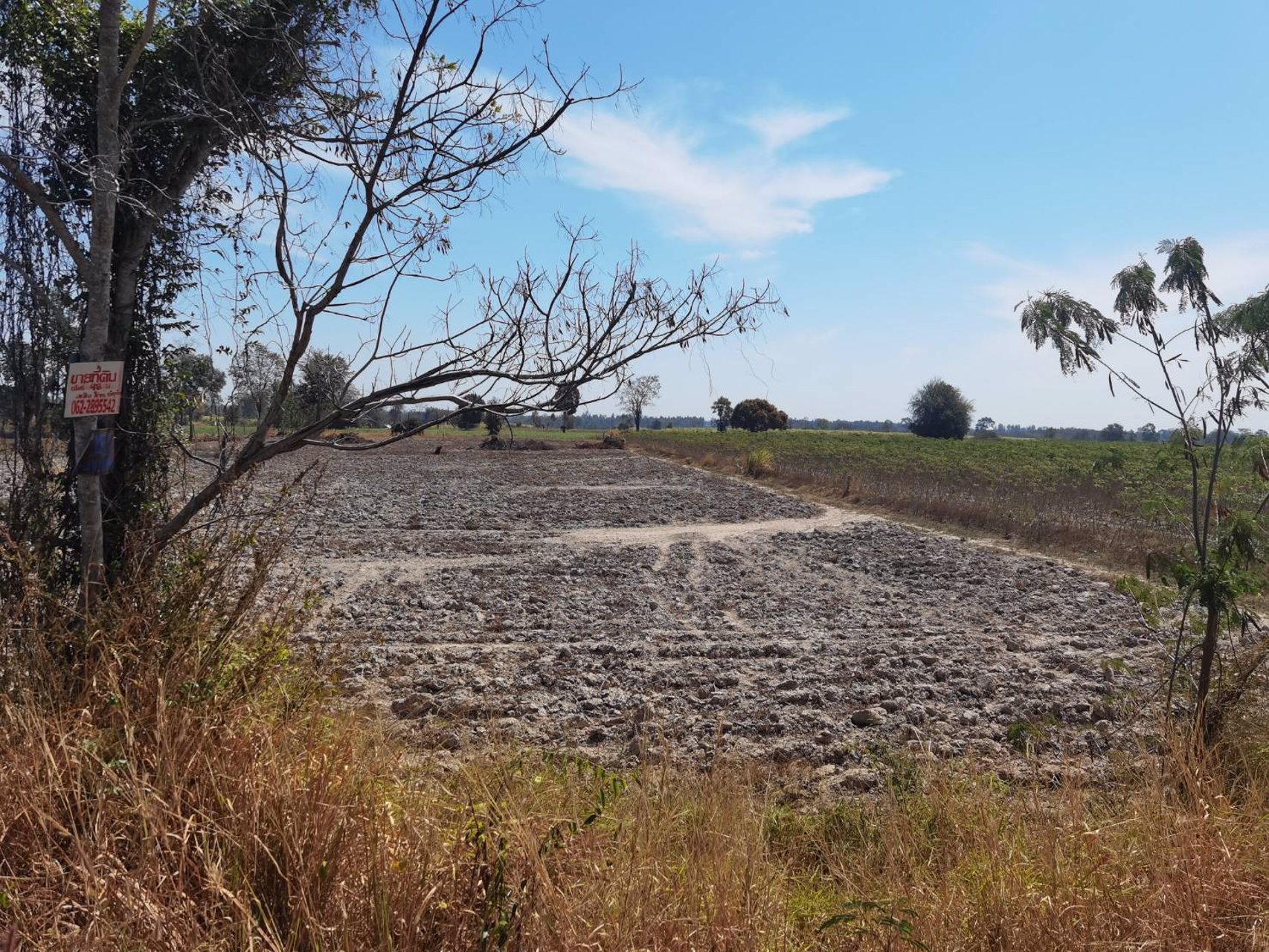 ขายด่าน-ที่ดินถนนอจ3006-อชานุมาน-จอำนาจเจริญ-433ไร่