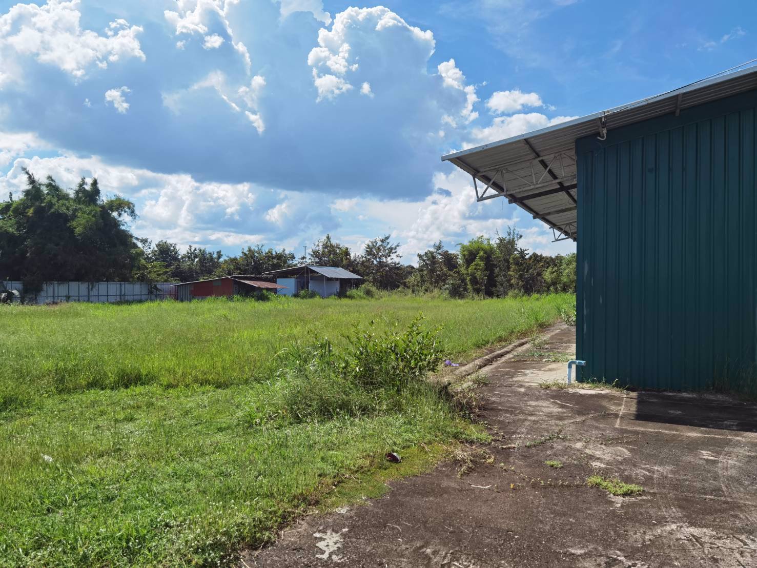 ขายด่วนที่ดิน-อพิบูลฯ-จอุบล-ติดถนน-7-ไร่-3-งาน-ไร่ละ-25-ล้าน-หน้ากว้าง-200เมตร