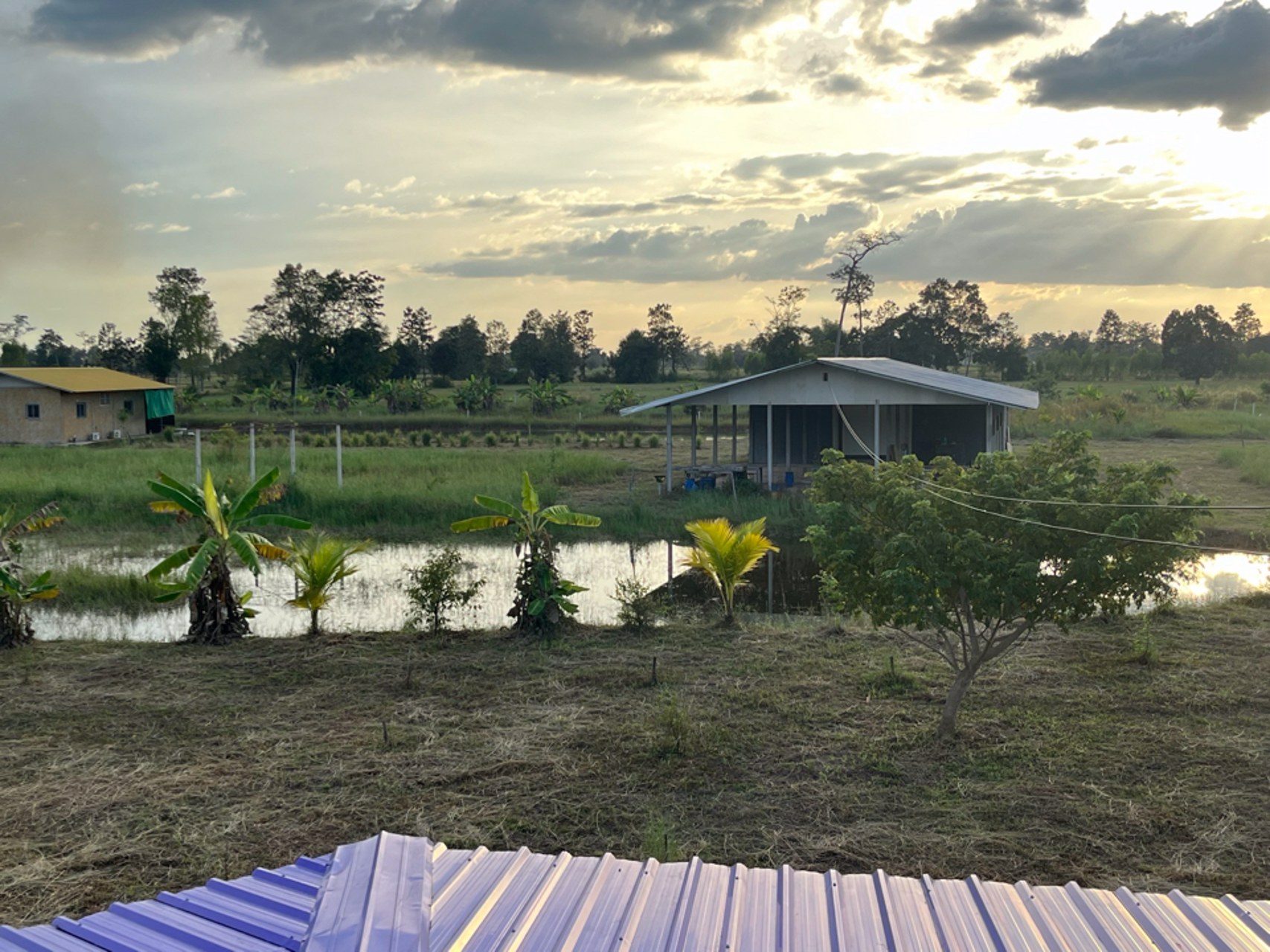 ที่ดิน-25ไร่-2งาน-พร้อมสิ่งปลูกสร้าง-ติดถนน-เดชอุดม-นาห่อม-อบ2192-