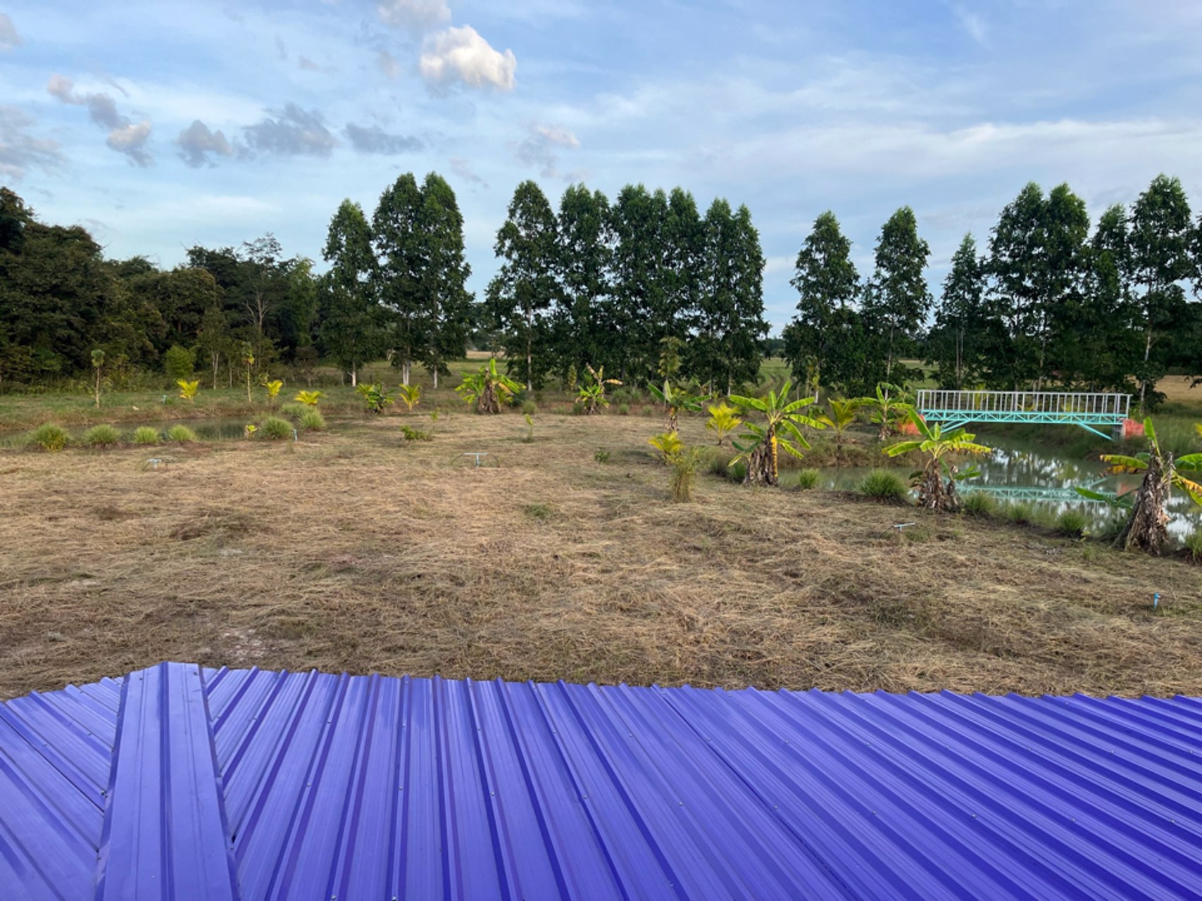 ที่ดิน-25ไร่-2งาน-พร้อมสิ่งปลูกสร้าง-ติดถนน-เดชอุดม-นาห่อม-อบ2192-