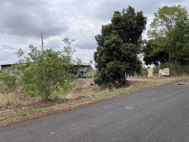 ที่ดิน-25ไร่-2งาน-พร้อมสิ่งปลูกสร้าง-ติดถนน-เดชอุดม-นาห่อม-อบ2192-