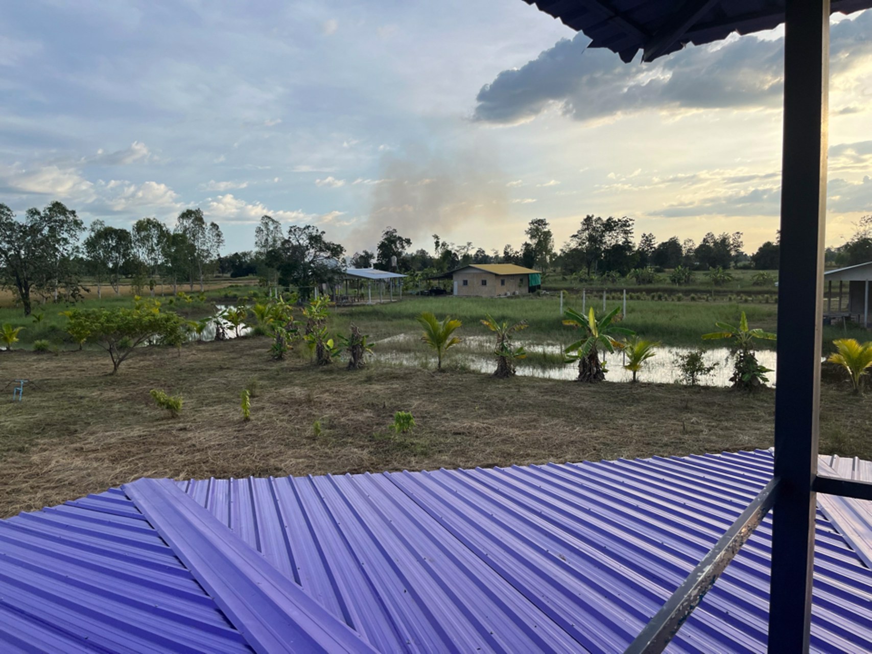 ที่ดิน-25ไร่-2งาน-พร้อมสิ่งปลูกสร้าง-ติดถนน-เดชอุดม-นาห่อม-อบ2192-