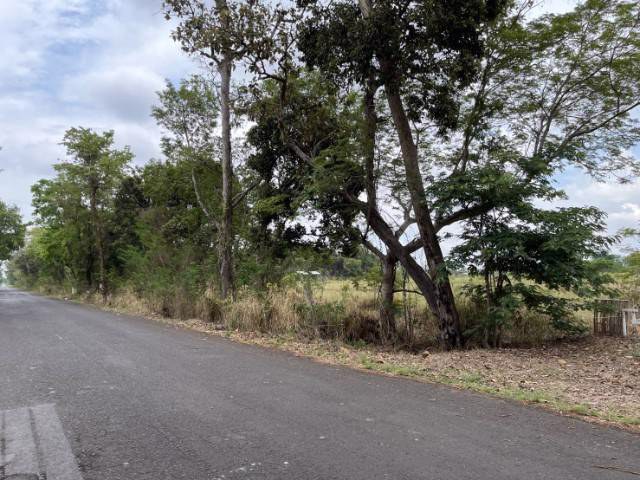 ที่ดิน-25ไร่-2งาน-พร้อมสิ่งปลูกสร้าง-ติดถนน-เดชอุดม-นาห่อม-อบ2192-