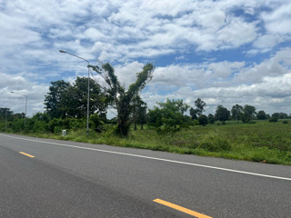 ขายด่าน-ที่ดินถนนอจ3006-อชานุมาน-จอำนาจเจริญ-433ไร่