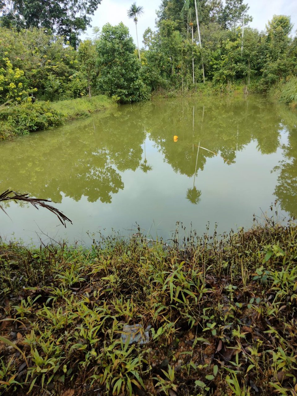 ขายที่ดิน-เนื้อที่-3-ไร่-ตทุ่งเบญจา-อท่าใหม่-จจันทบุรี