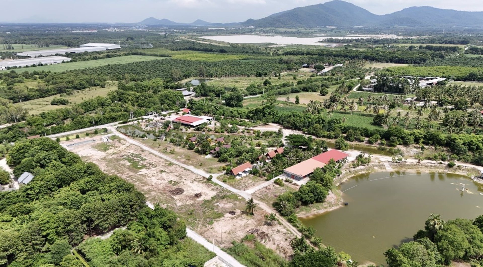 ประกาศขายที่ดินจัดสรรแล้ว-จำนวน8ล๊อค