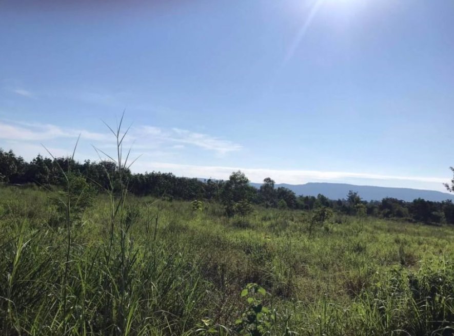 ขายที่ดินทำเลดี-3ไร่-1งาน-69-ตรว