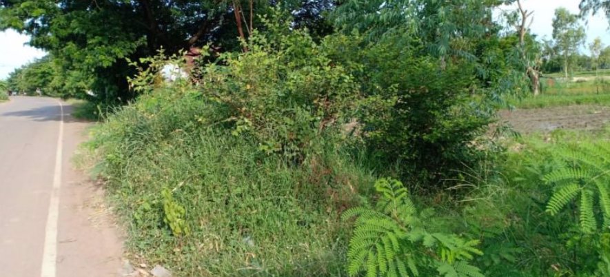 ขายที่ดิน6ไร่-ใกล้สนามบินนานาชาติ-อุดรธานี