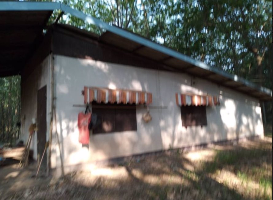 ขายบ้านพร้อมสวนยาง10ไร่-ราคาไร่ละ250000บาท