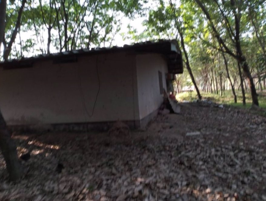 ขายบ้านพร้อมสวนยาง10ไร่-ราคาไร่ละ250000บาท